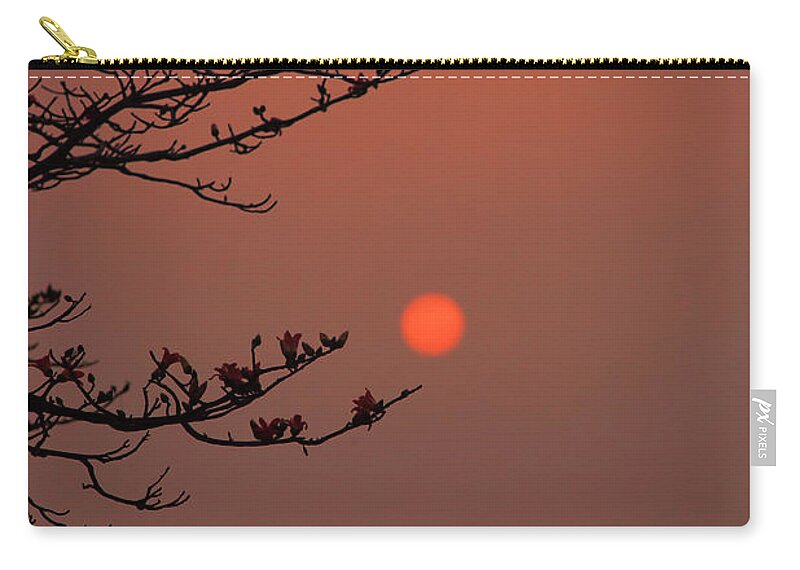 Blossoms Zip Pouch featuring the photograph Sun Blossoms Nature Asia by Chuck Kuhn