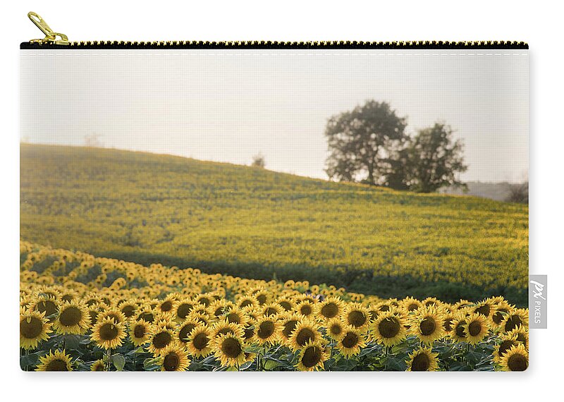Sunflower Zip Pouch featuring the photograph Sun Flowers ii by Ryan Heffron