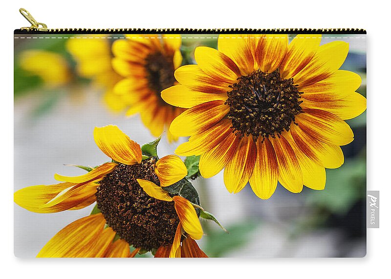 Heron Heaven Zip Pouch featuring the photograph Sun Flowers In Bloom by Ed Peterson