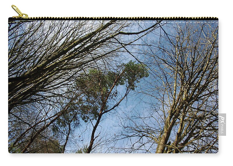 Trees Zip Pouch featuring the photograph Sun Kissed Branches by Jaeda DeWalt