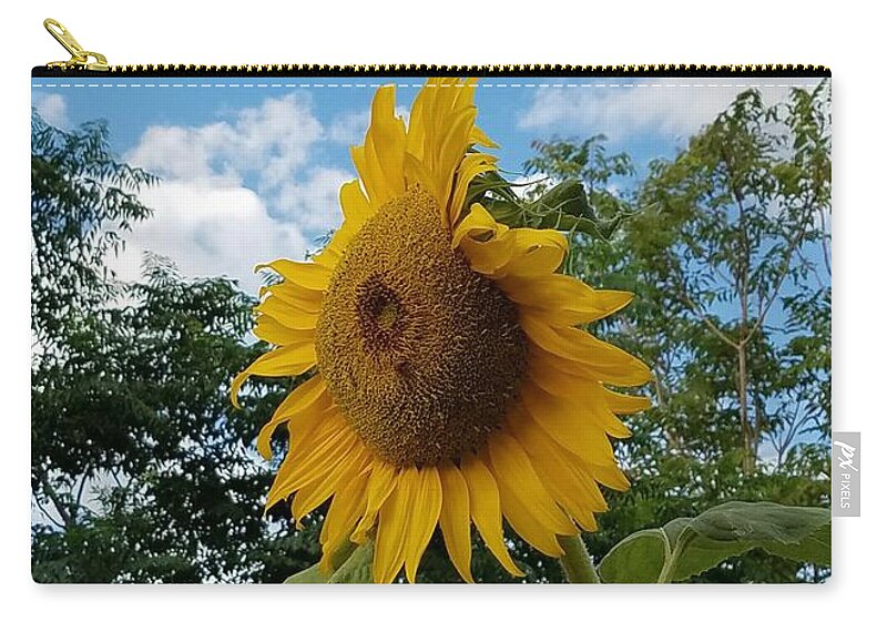 Helianthus Annuus Zip Pouch featuring the photograph Sun PoweR by Angela J Wright