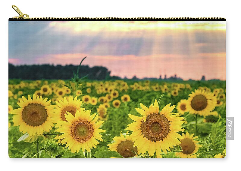 Photography Zip Pouch featuring the photograph Sun Ray Sunflower by Joe Kopp