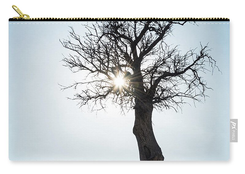 Inspiration Zip Pouch featuring the photograph Sun rays and bare lonely tree by Michalakis Ppalis
