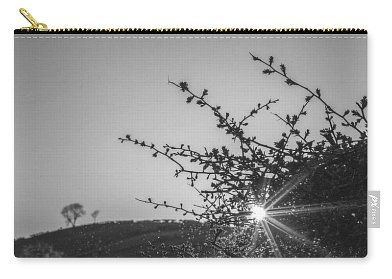  Zip Pouch featuring the photograph Sun Star by Aleck Cartwright