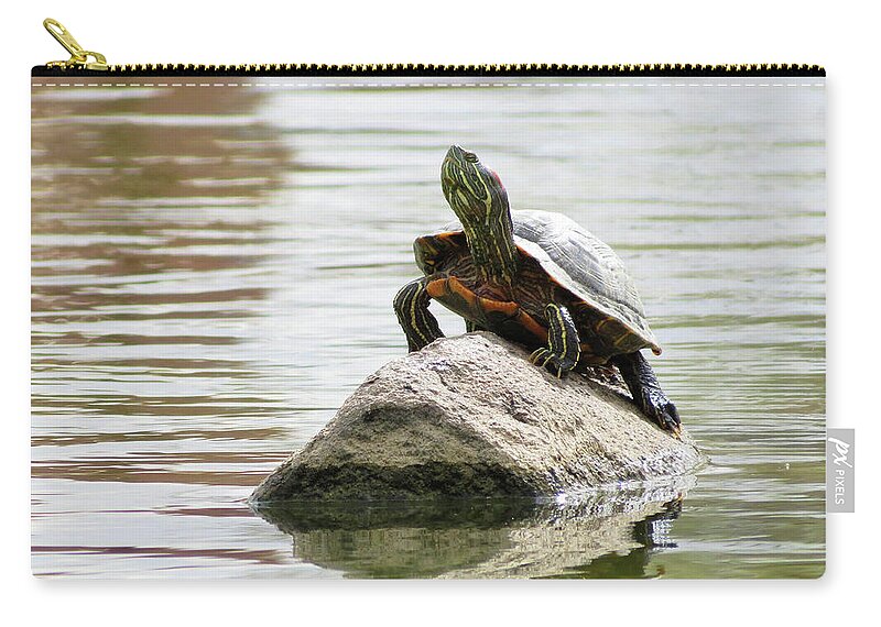 Reptile Zip Pouch featuring the photograph Sunbathing by Laurel Powell