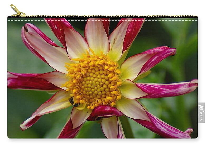 Nature Zip Pouch featuring the photograph Sunburst Peppermint by Ben Upham III