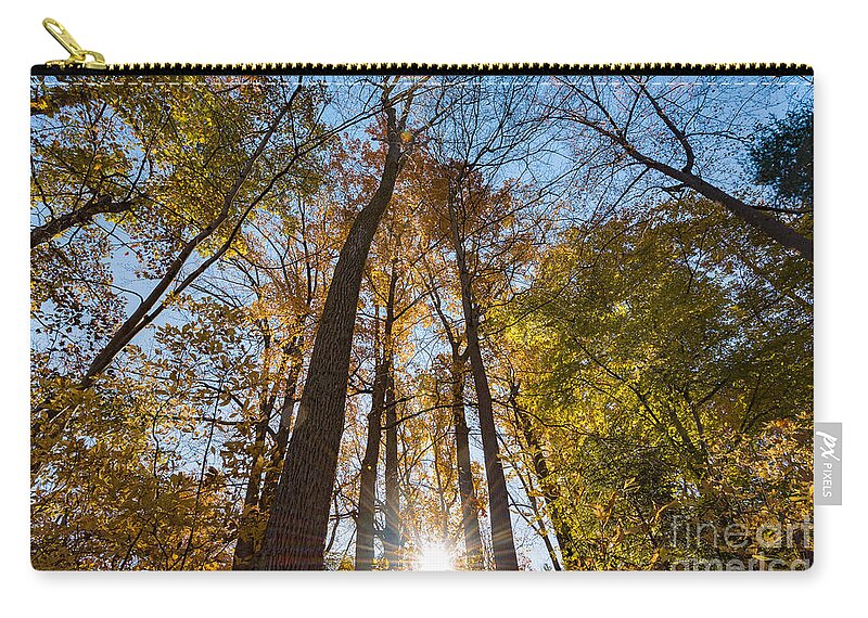 Fall Zip Pouch featuring the photograph Sunburst through Autumn Trees by Alissa Beth Photography