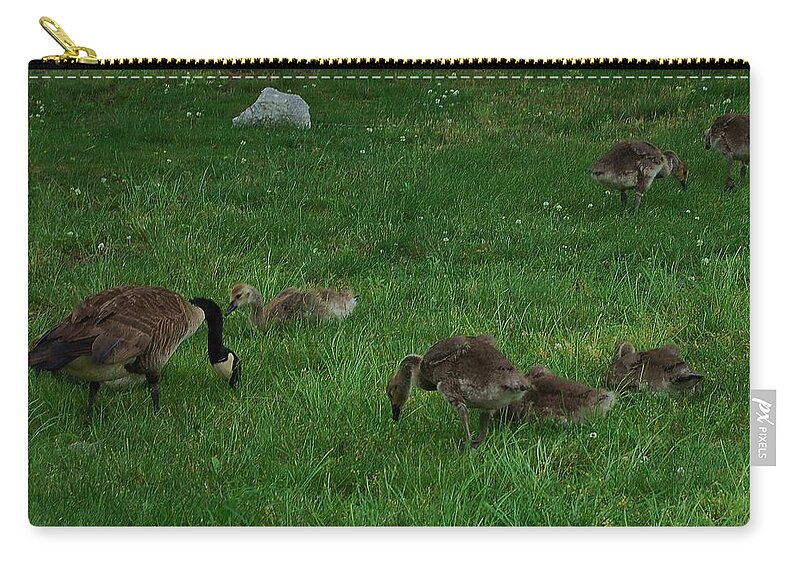 Canadian Geese Zip Pouch featuring the photograph Sunday Brunch by Christopher James