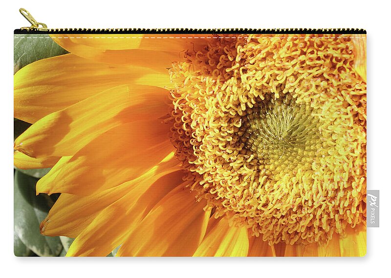 Sunflower Zip Pouch featuring the photograph Sunflower 150 by Mary Bedy