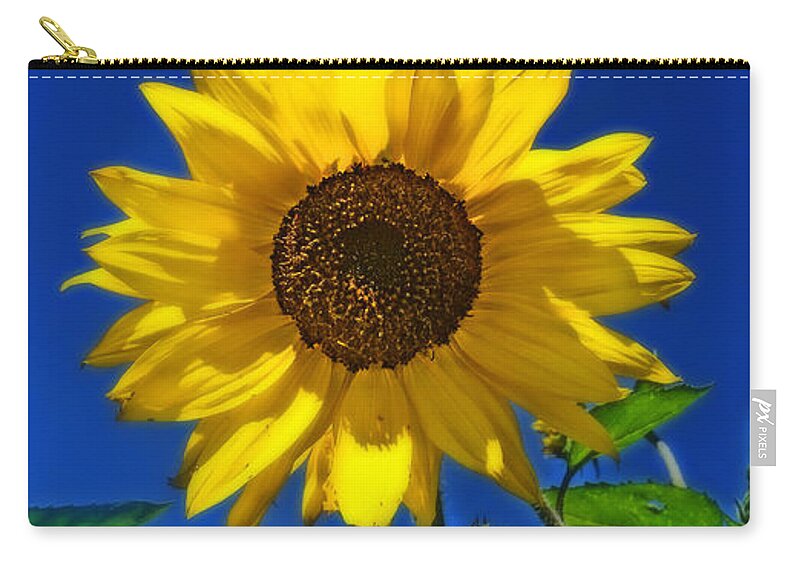 Sunflowers Carry-all Pouch featuring the photograph Maize 'N Blue by Amanda Smith