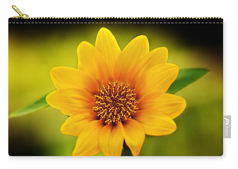 Sunflower Print Zip Pouch featuring the photograph Sunflower Baby Print by Gwen Gibson
