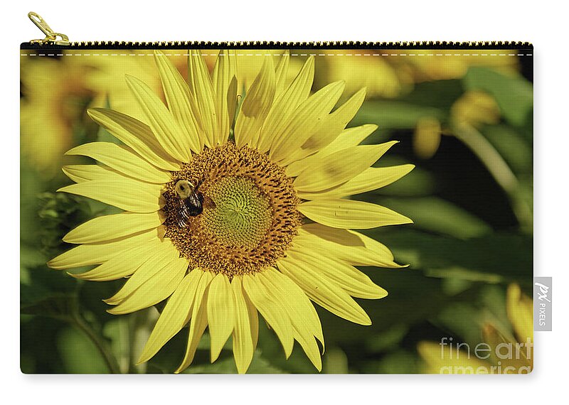 Sunflower Zip Pouch featuring the photograph Sunflower Bumble by Natural Focal Point Photography
