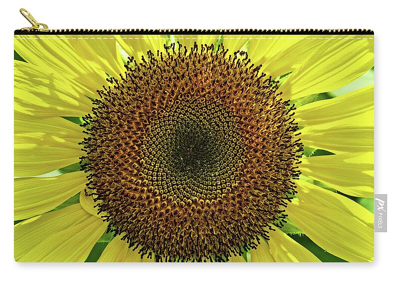 Sunflower Zip Pouch featuring the photograph Sunflower by Catherine Reading