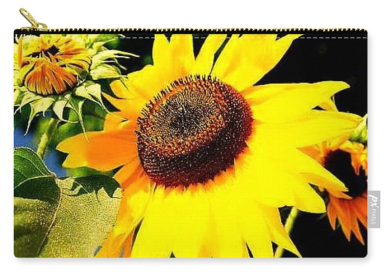  Zip Pouch featuring the photograph Sunflower by FD Graham