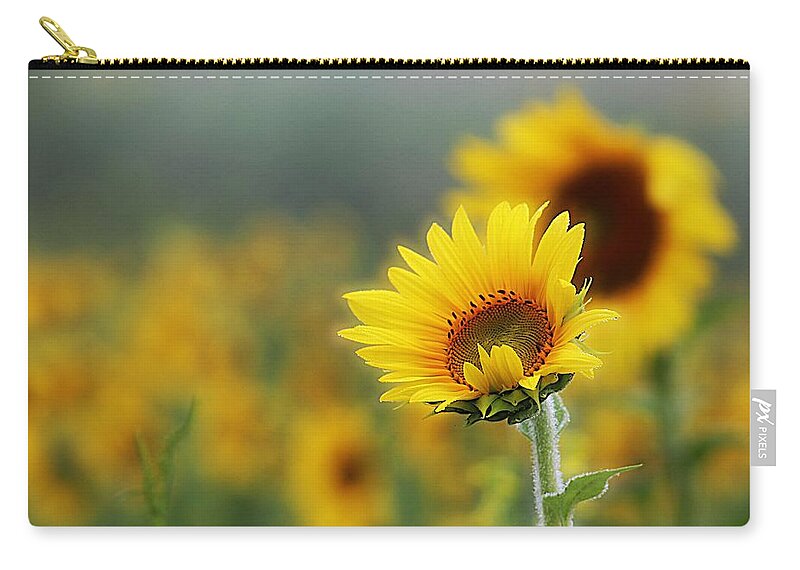 Sunflower Zip Pouch featuring the photograph Sunflower Field by Karen McKenzie McAdoo