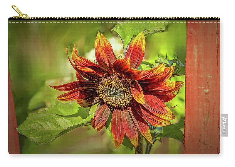 Sunflower Zip Pouch featuring the photograph Sunflower #g5 by Leif Sohlman