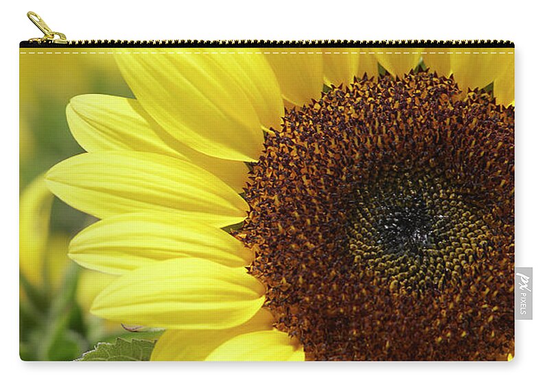 Sunflower Zip Pouch featuring the photograph Sunflower by Garden Gate