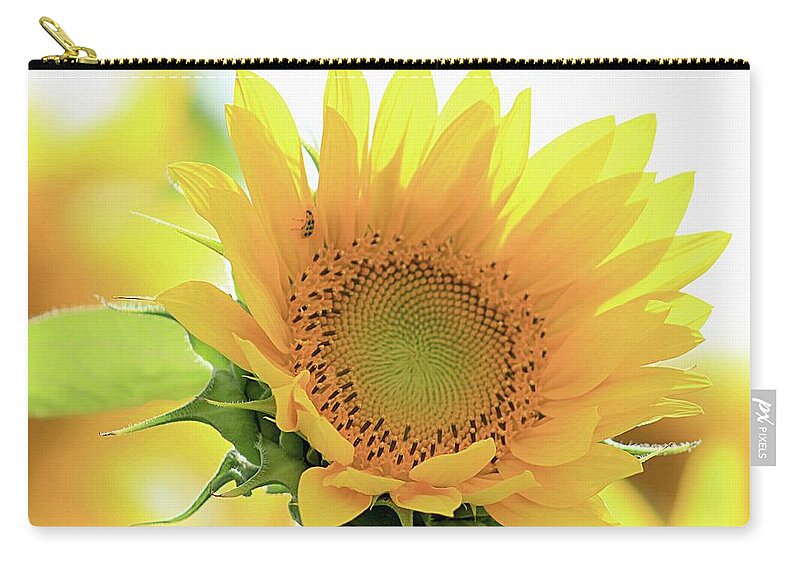 Yellow Sunflower Zip Pouch featuring the photograph Sunflower in Golden Glow by Karen McKenzie McAdoo