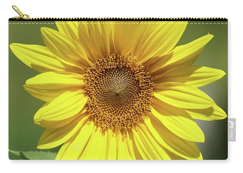 Sunflower Zip Pouch featuring the photograph Sunflower in the Sun by Robert E Alter Reflections of Infinity