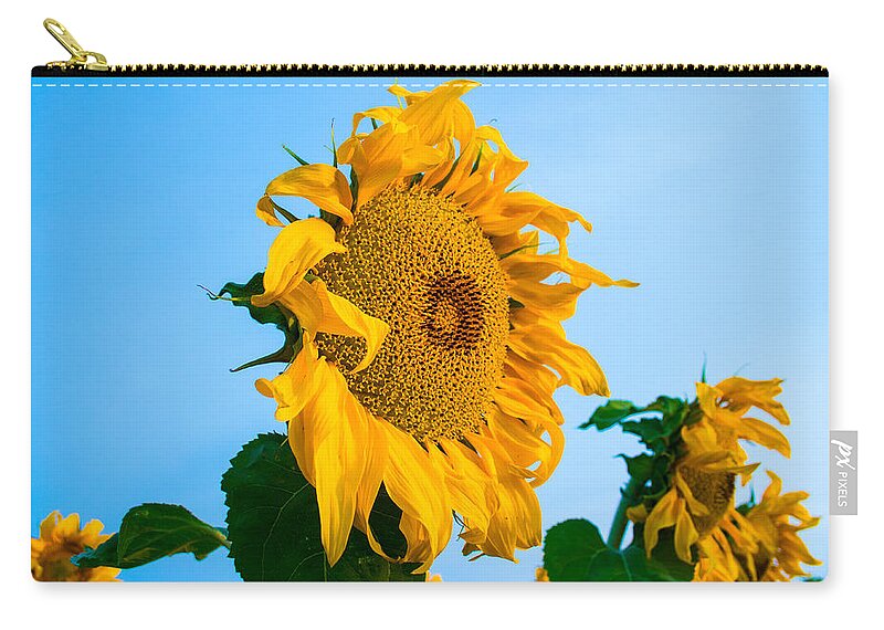Sunrise Zip Pouch featuring the photograph Sunflower Morning #2 by Mindy Musick King