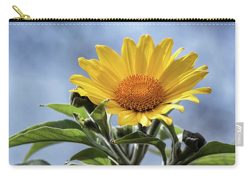 Sunflower Zip Pouch featuring the photograph Sunflower by Saija Lehtonen