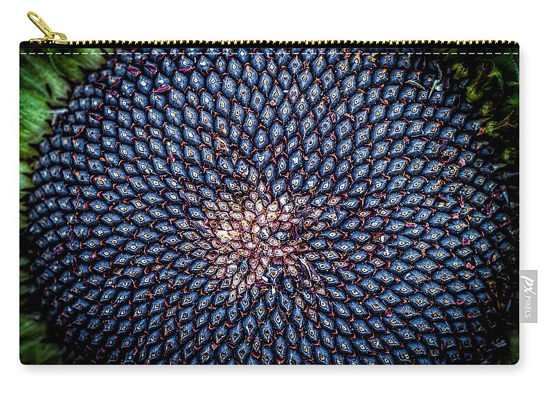 Sunflower Seeds Zip Pouch featuring the photograph Sunflower seeds by Lilia S