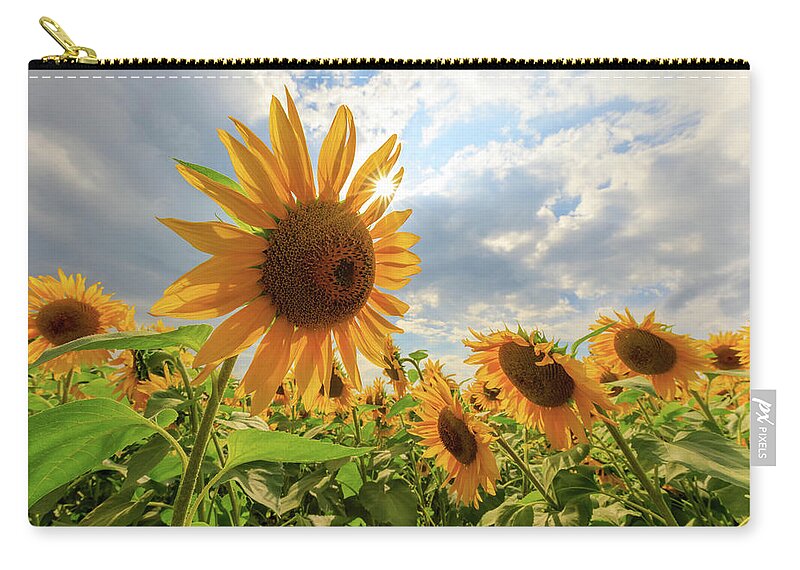 Sunflower Zip Pouch featuring the photograph Sunflower Star by Rob Davies