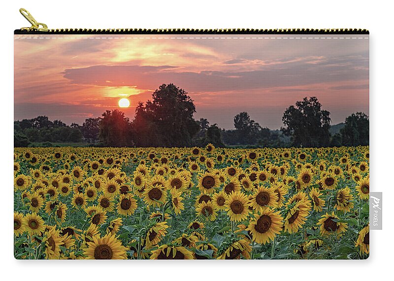 Flowers Zip Pouch featuring the photograph Sunflower Sunset II by Rod Best