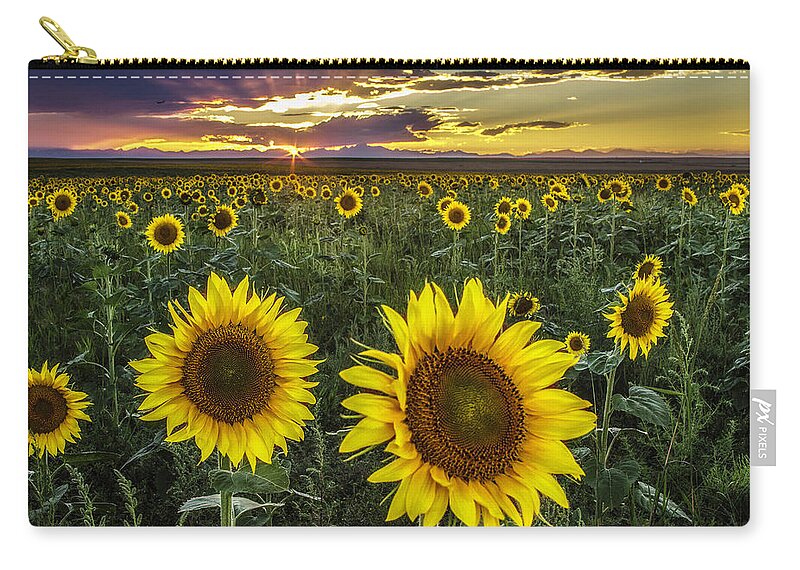 Sunflowers. Sunflower Field Zip Pouch featuring the photograph Sunflower Sunset by Kristal Kraft
