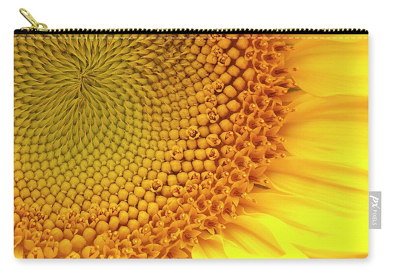 Sunflower Zip Pouch featuring the photograph Sunflower by Windy Osborn