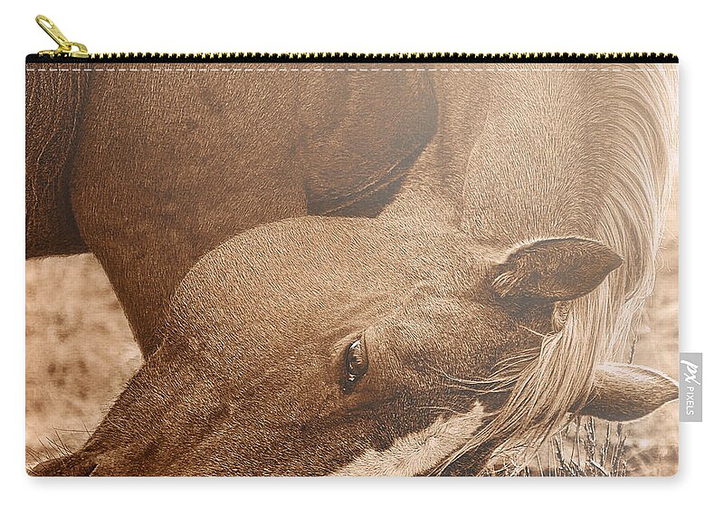 Graceful Zip Pouch featuring the photograph Sunlight and Grace by Amanda Smith