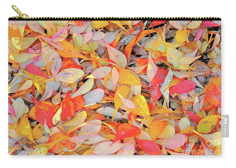 Berberis Vulgaris Zip Pouch featuring the photograph Sunlight on Barberry Leaves by Michele Penner