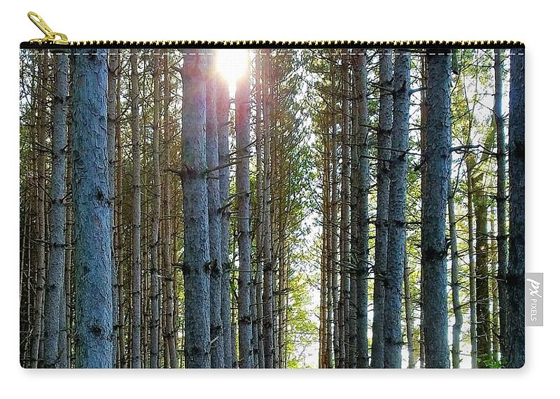 Sunlight Zip Pouch featuring the photograph Sunlight Through the Forest Trees by Vic Ritchey