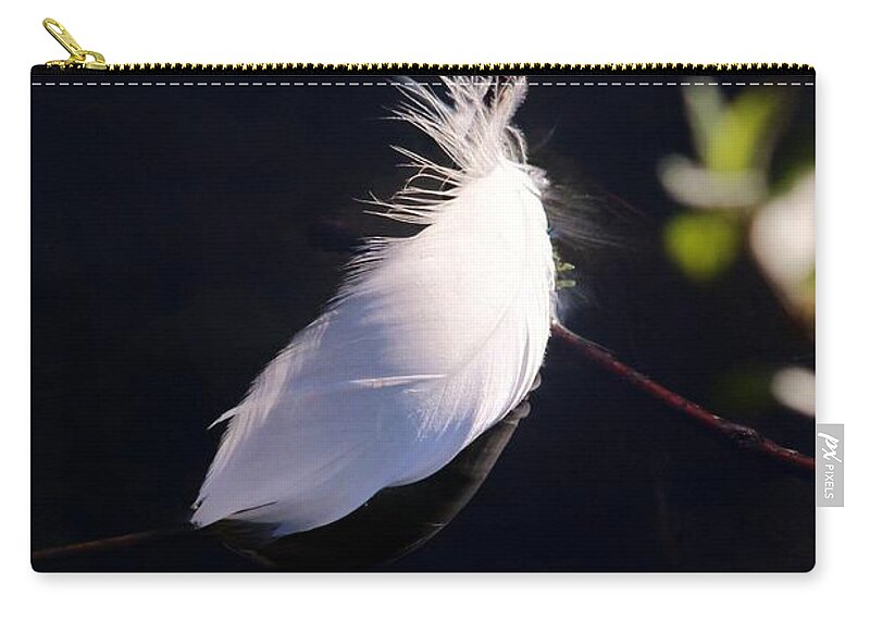 Karen Silvestri Carry-all Pouch featuring the photograph Sunlit Feather by Karen Silvestri