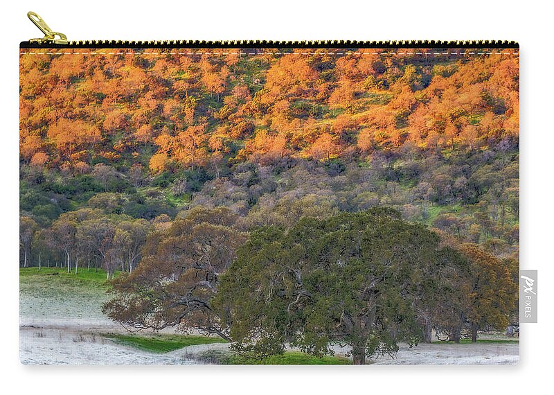 Landscape Zip Pouch featuring the photograph Sunlit Hillside and Frost by Marc Crumpler