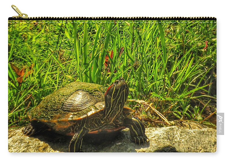 Bees Zip Pouch featuring the photograph Sunning by Kathi Isserman