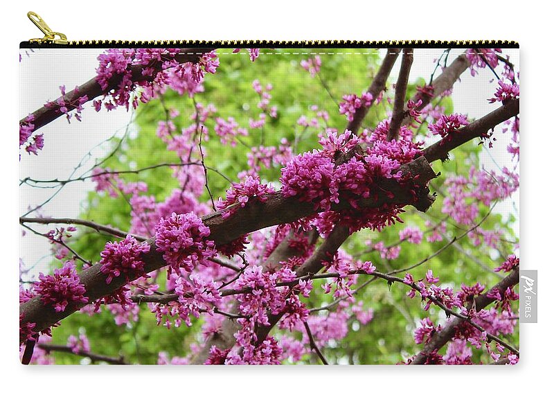 Photography Zip Pouch featuring the photograph Sunning Redbud Blooming Branches by M E