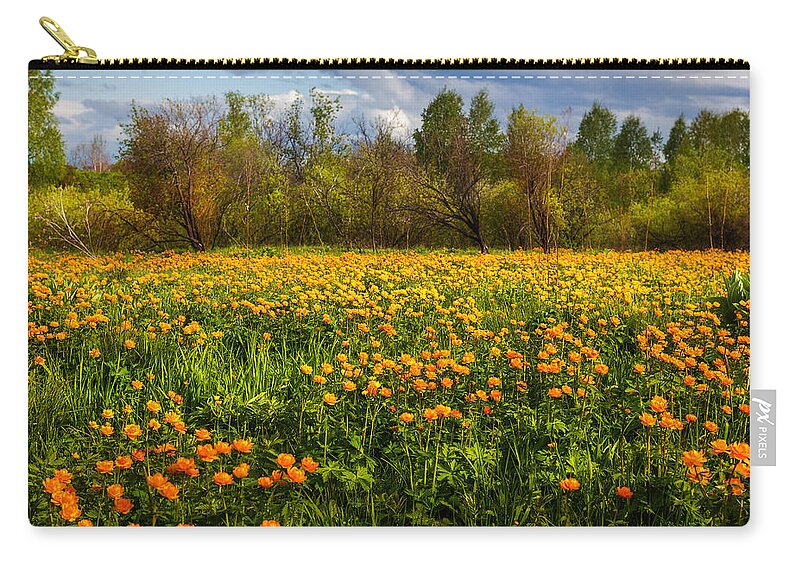 Buttercup Zip Pouch featuring the photograph Sunny Buttercups Field. Altai by Victor Kovchin