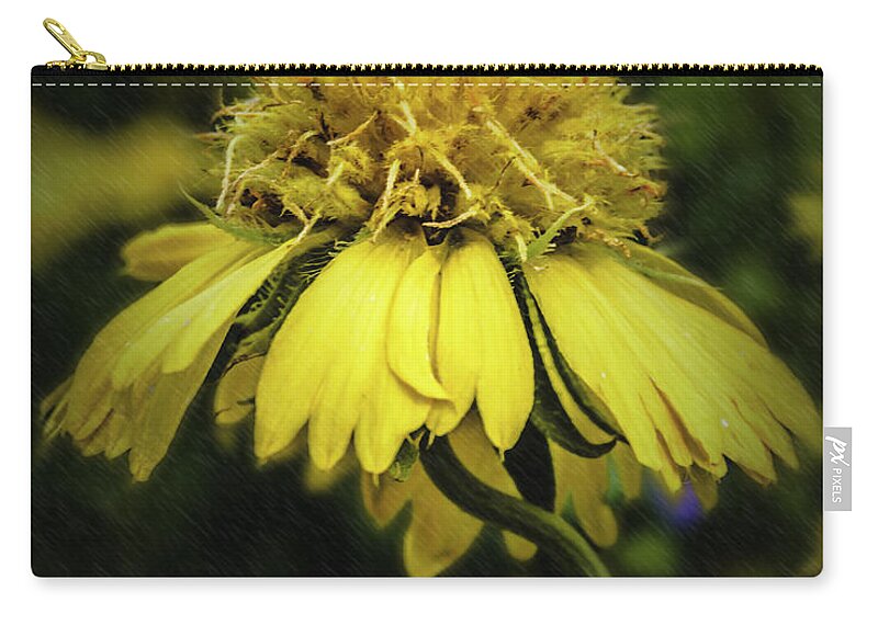 Sun Zip Pouch featuring the photograph Sunny Flower by Leticia Latocki