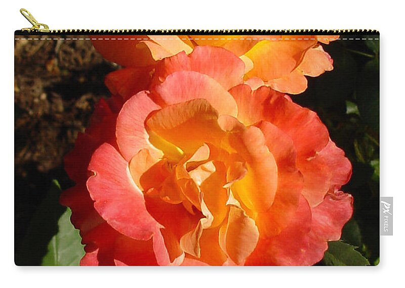 Rose Zip Pouch featuring the photograph Sunny Roses by Shirley Heyn