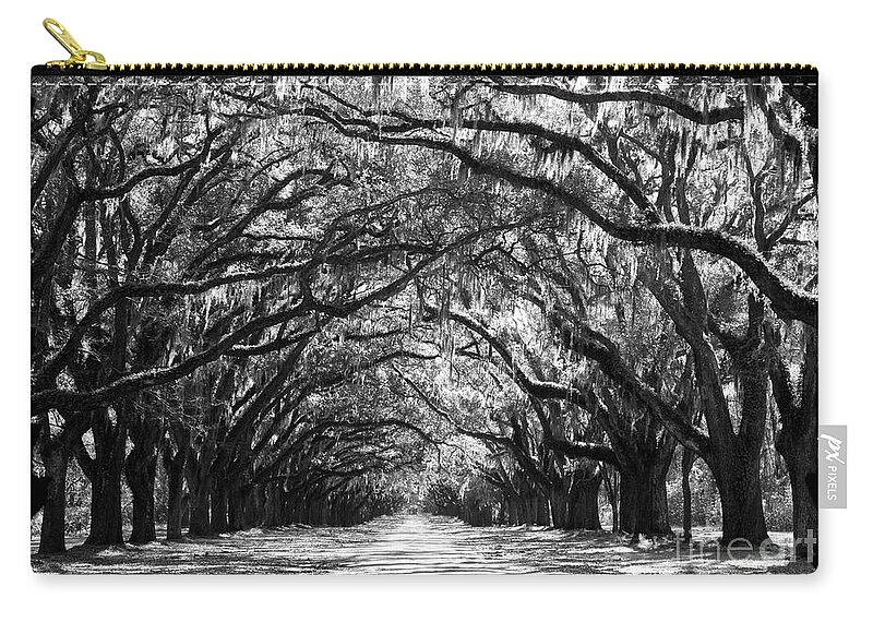 Live Oaks Zip Pouch featuring the photograph Sunny Southern Day - Black and White with Black Border by Carol Groenen