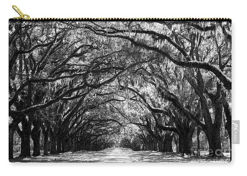 Live Oaks Carry-all Pouch featuring the photograph Sunny Southern Day - Black and White by Carol Groenen