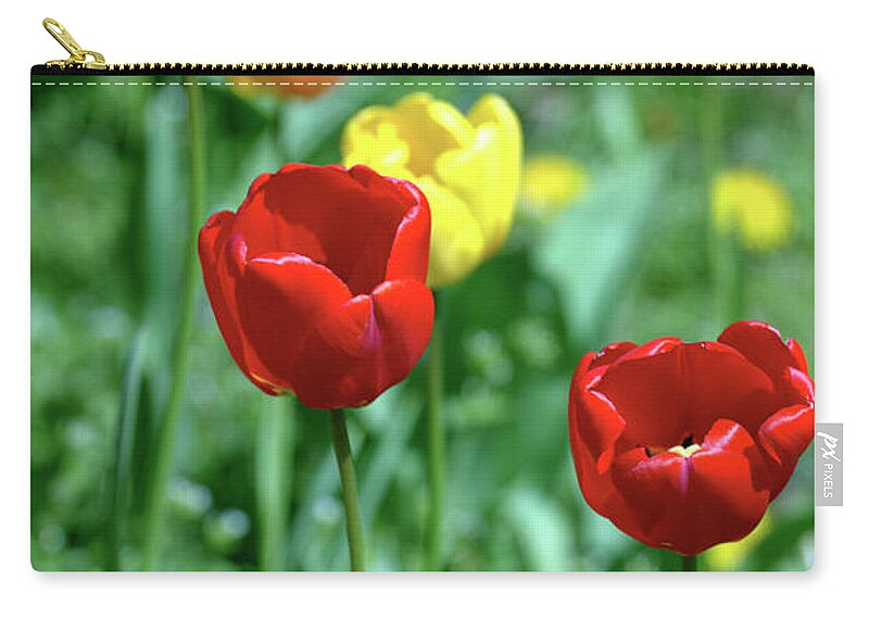Flower.flora Zip Pouch featuring the photograph Sunny Tulips by Stephen Melia