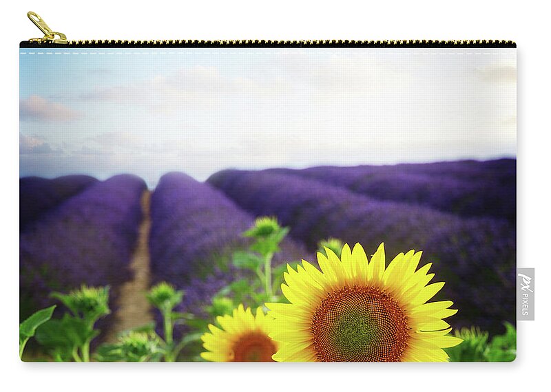 Lavender Carry-all Pouch featuring the photograph Sunrise over Sunflower and Lavender Field by Anastasy Yarmolovich