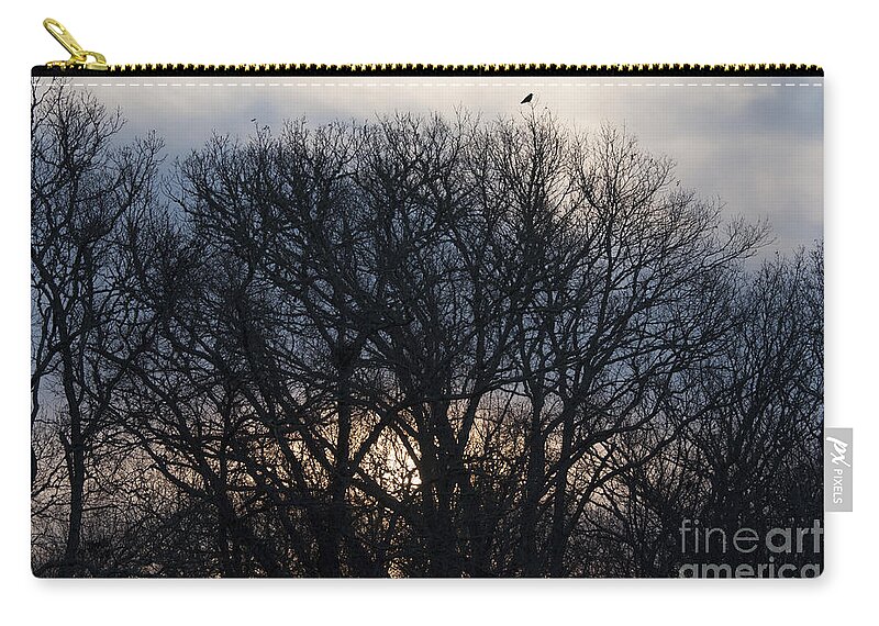  Of A Horsenatanson Zip Pouch featuring the photograph Sunrise with Bird by Steven Natanson