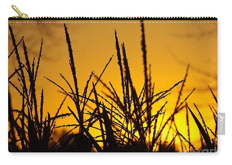 Corn Zip Pouch featuring the photograph Sunset Corn by Erick Schmidt