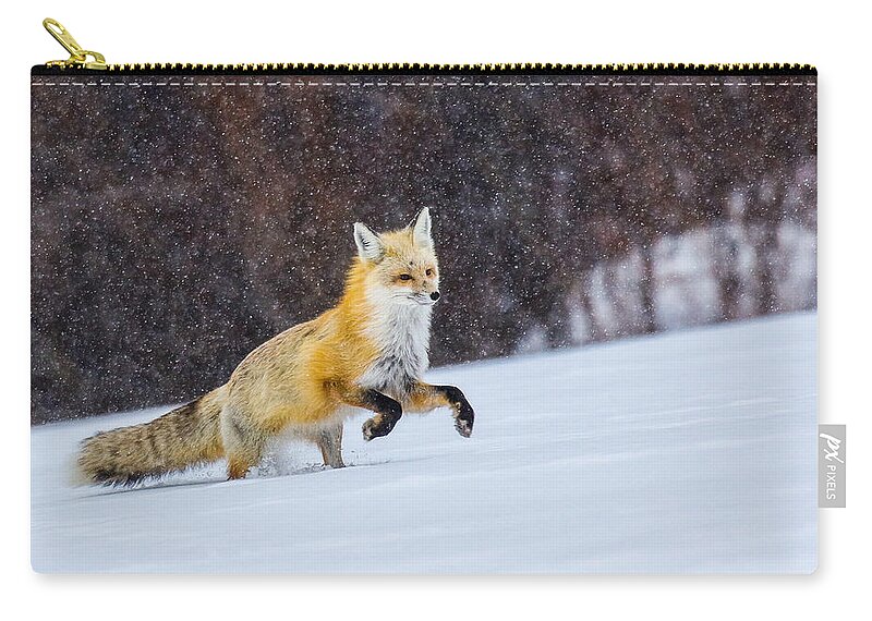 Fox Zip Pouch featuring the photograph Sunset Flakes by Kevin Dietrich