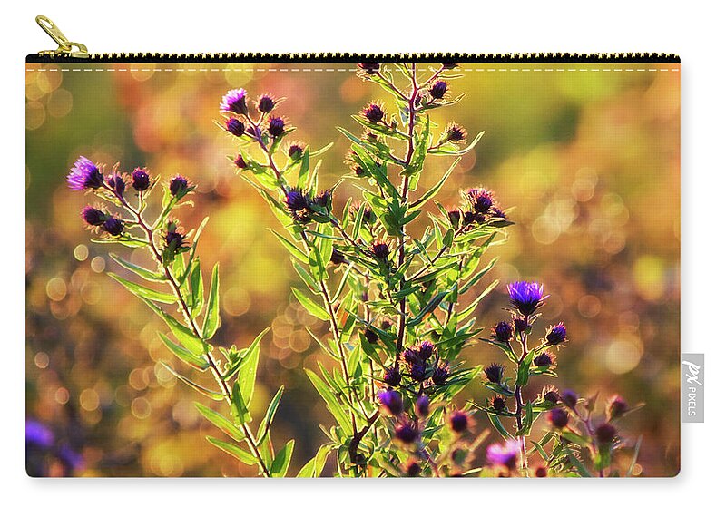 Fall Flowers Zip Pouch featuring the photograph Sunset Flowers by Christina Rollo