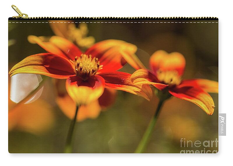 Coreopsis Verticillata Zip Pouch featuring the photograph Sunset Strip by Eva Lechner