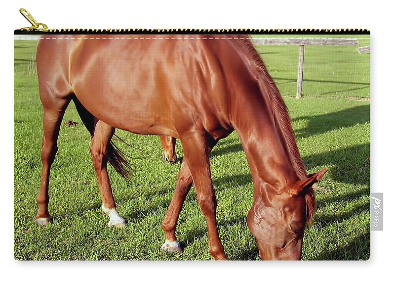 Horse Zip Pouch featuring the photograph Sunshine Horse by D Hackett